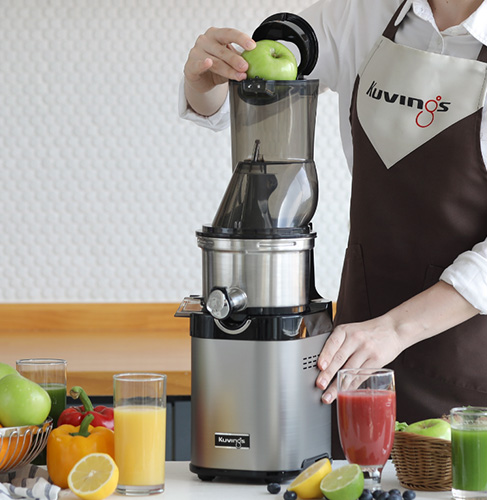 extracteur de jus professionnel en inox